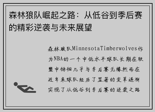 森林狼队崛起之路：从低谷到季后赛的精彩逆袭与未来展望